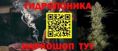 шишки Усть-Илимск