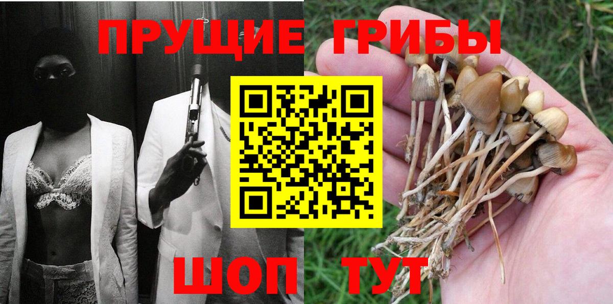 Псилоцибиновые грибы GOLDEN TEACHER  Псилоцибиновые грибы Psilocybe  Вход с VPN  Тимашёвск 