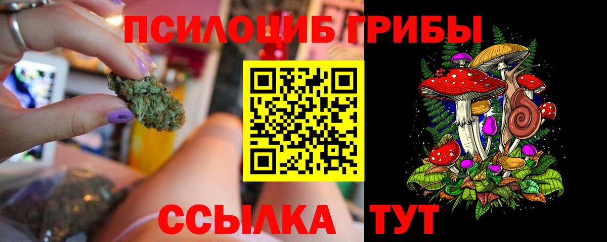 Галлюциногенные грибы ЛСД Тимашёвск